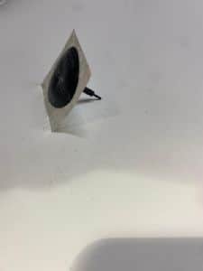 פטריה לטיובלס